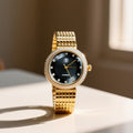 BIOO Gold Black Dial  Premium Watch For Women